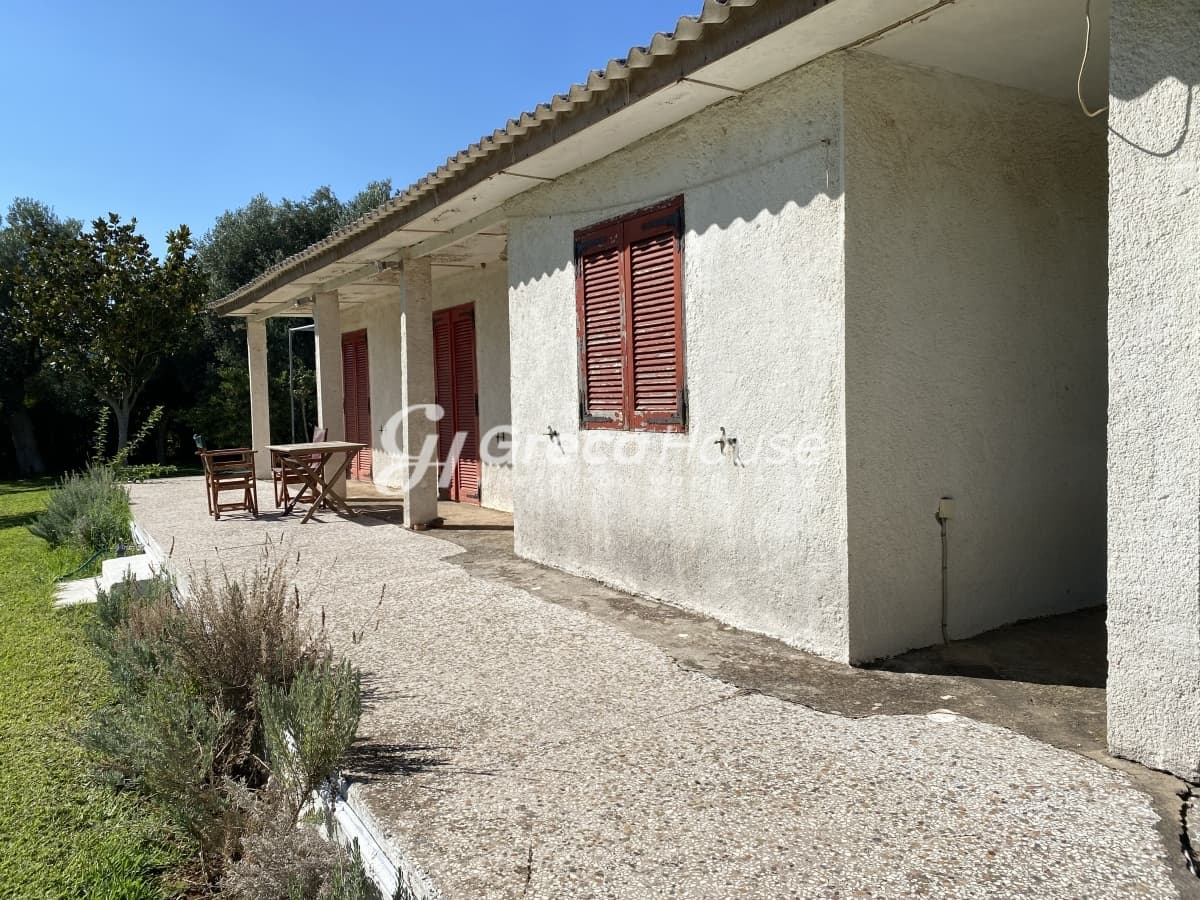 Beachfront Investment Opportunity in Agios Andreas, Eretria, Evia - Photo 30