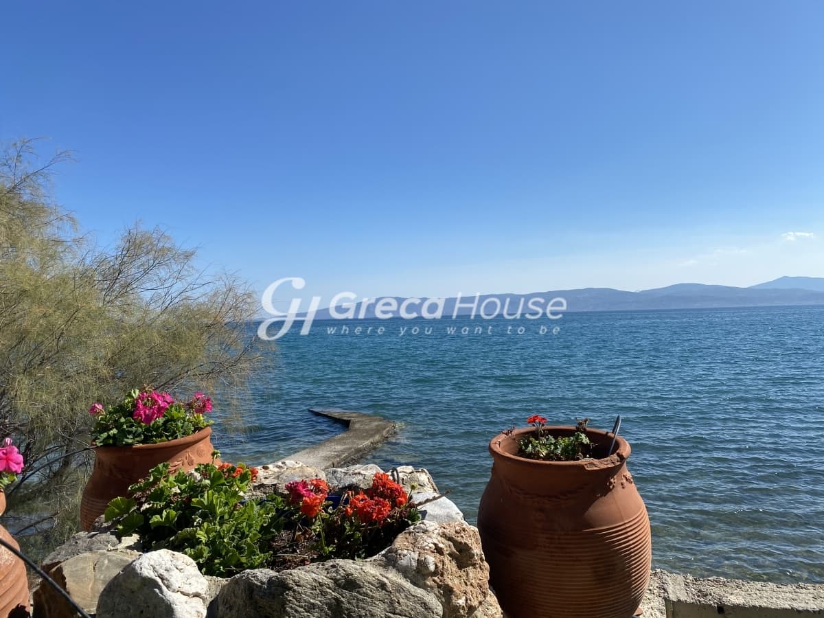 Beachfront Investment Opportunity in Agios Andreas, Eretria, Evia - Photo 11