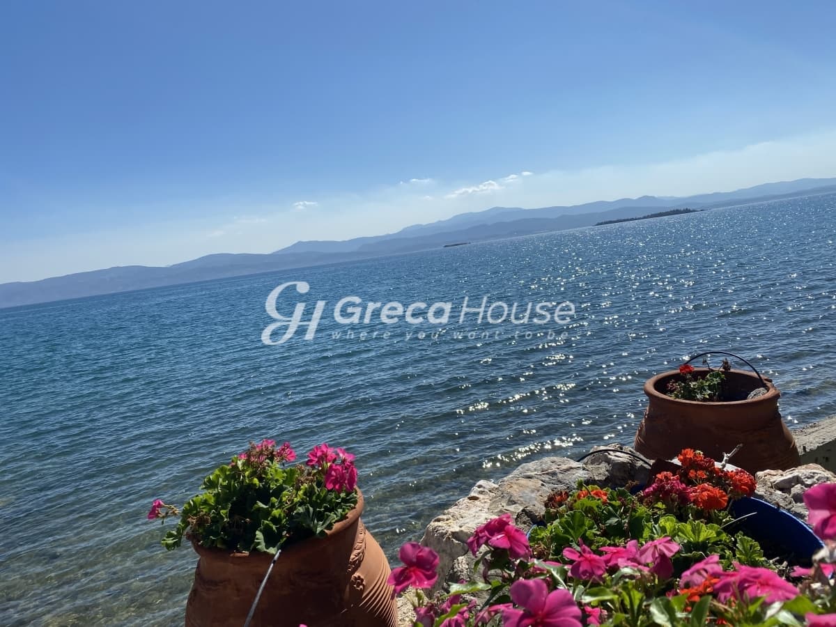 Beachfront Investment Opportunity in Agios Andreas, Eretria, Evia - Photo 31