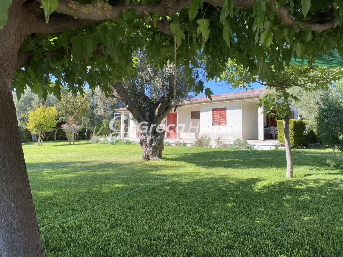 Beachfront Investment Opportunity in Agios Andreas, Eretria, Evia - Photo 2