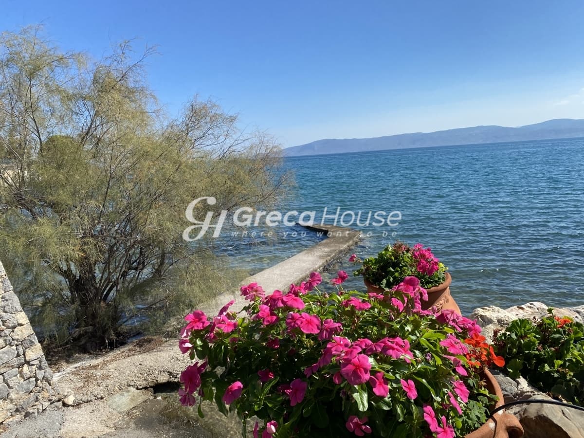 Beachfront Investment Opportunity in Agios Andreas, Eretria, Evia - Photo 19