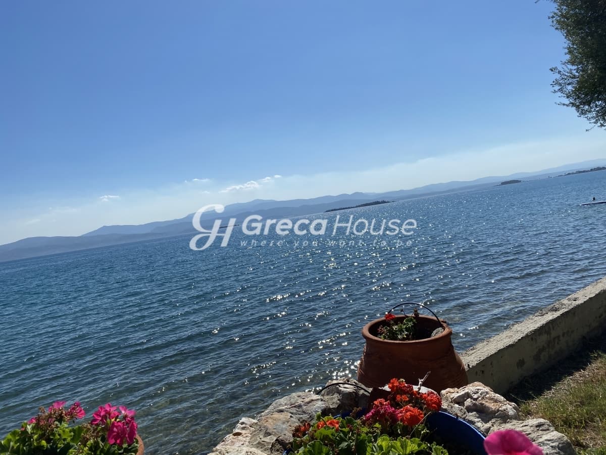 Beachfront Investment Opportunity in Agios Andreas, Eretria, Evia - Photo 35