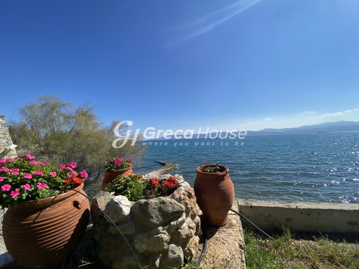 Beachfront Investment Opportunity in Agios Andreas, Eretria, Evia - Photo 41