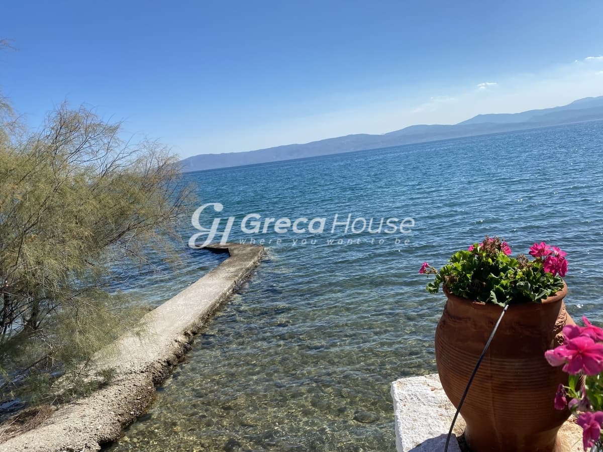 Beachfront Investment Opportunity in Agios Andreas, Eretria, Evia - Photo 29
