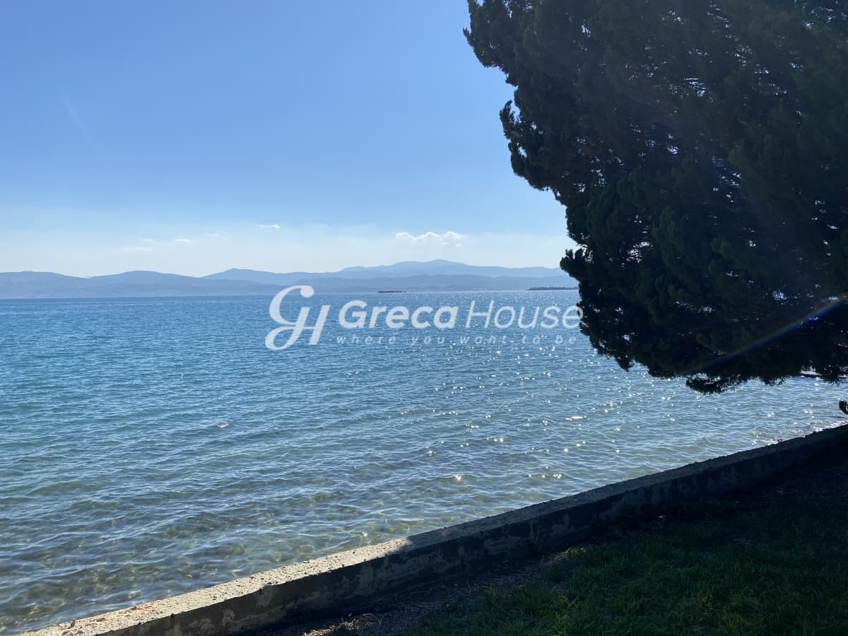 Beachfront Investment Opportunity in Agios Andreas, Eretria, Evia - Photo 6