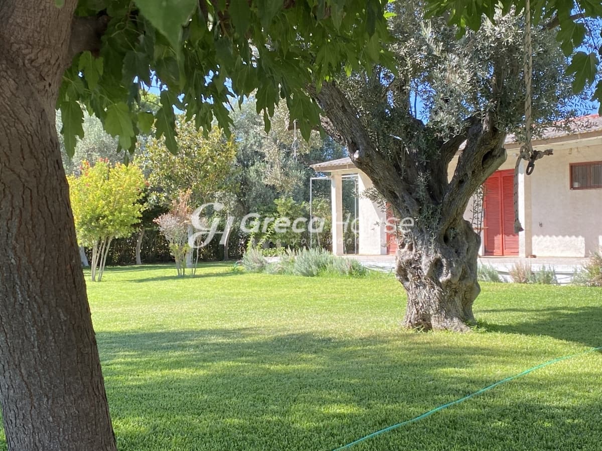 Beachfront Investment Opportunity in Agios Andreas, Eretria, Evia - Photo 36