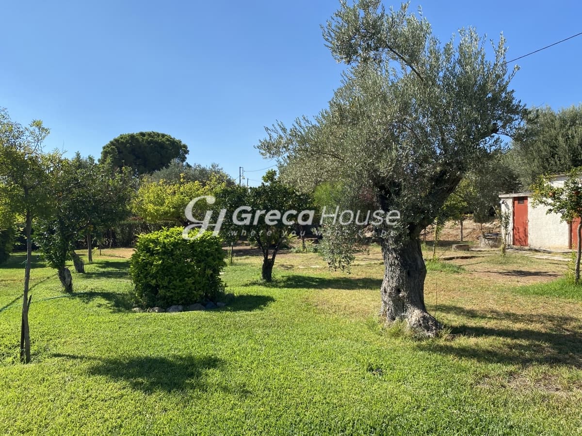 Beachfront Investment Opportunity in Agios Andreas, Eretria, Evia - Photo 42