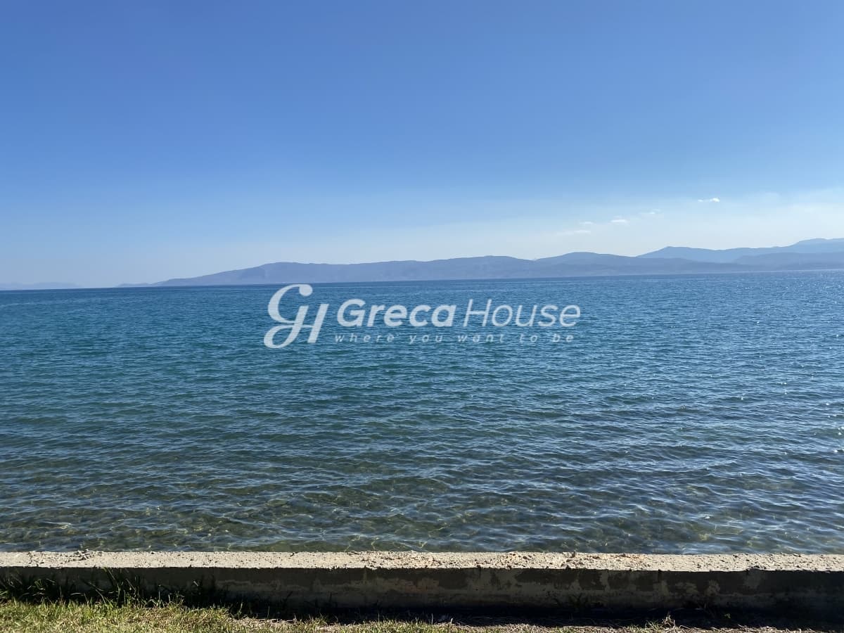 Beachfront Investment Opportunity in Agios Andreas, Eretria, Evia - Photo 3