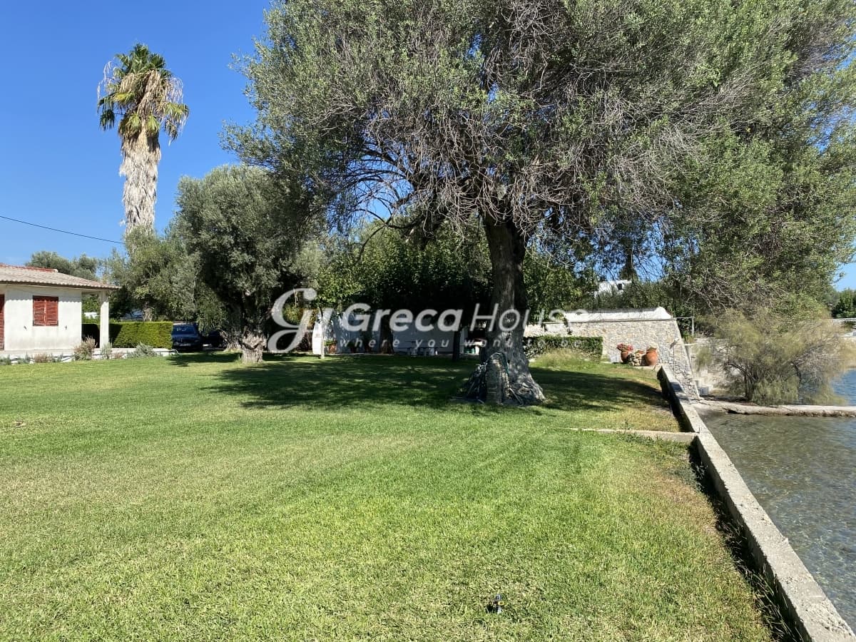 Beachfront Investment Opportunity in Agios Andreas, Eretria, Evia - Photo 14