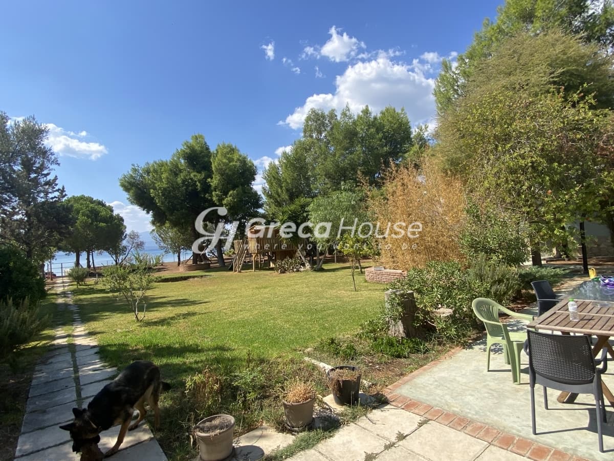 Seaside Villa in Evia with Panoramic Sea Views - Prime Investment Opportunity - Photo 15