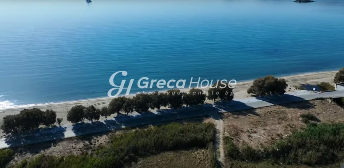 Investment Opportunity in Karystos - Beachfront Land for Sale for Hotel Development - Photo 10