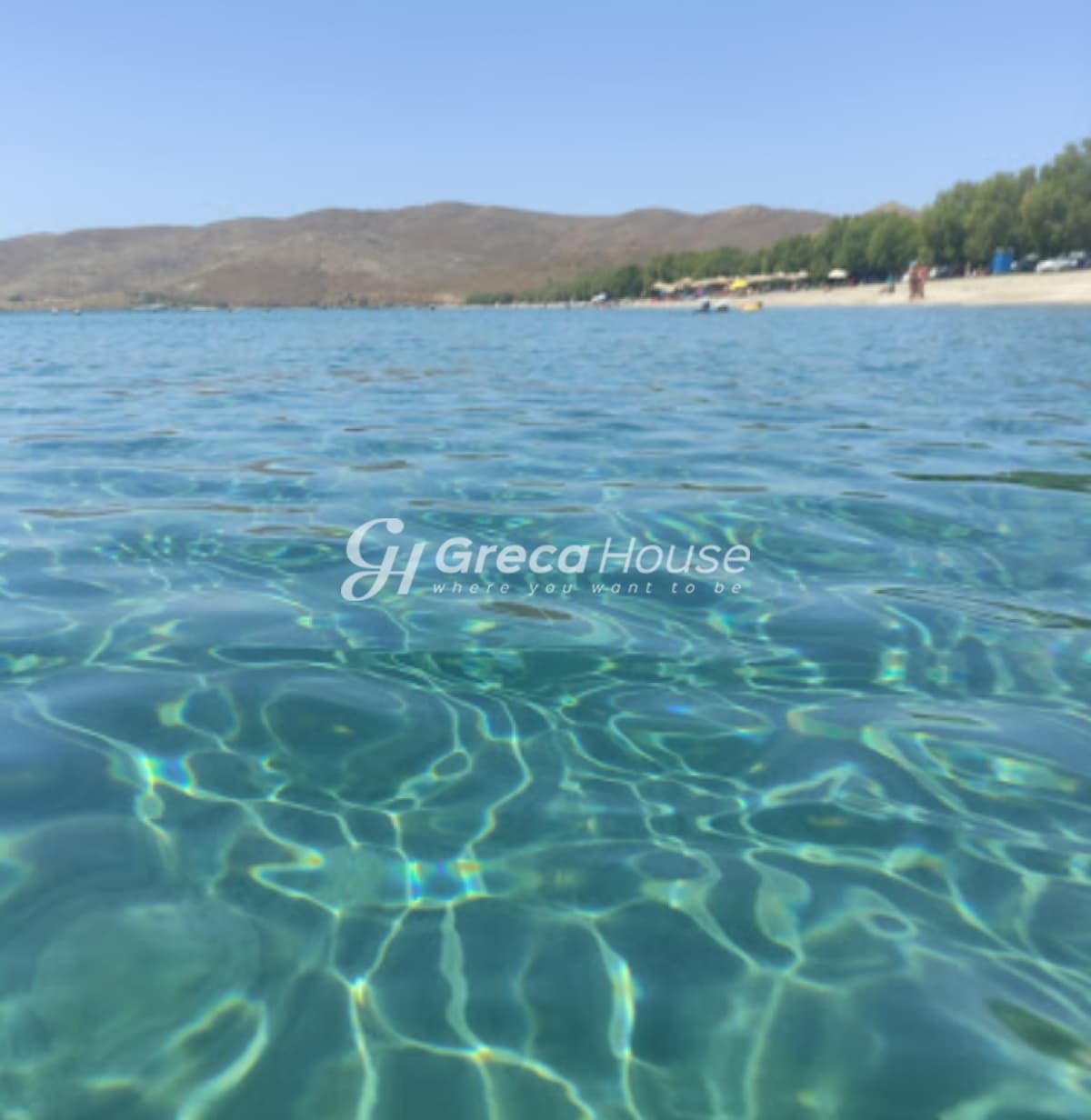 Investment Opportunity in Karystos - Beachfront Land for Sale for Hotel Development - Photo 3