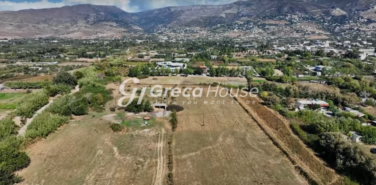 Investment Opportunity in Karystos - Beachfront Land for Sale for Hotel Development - Photo 20