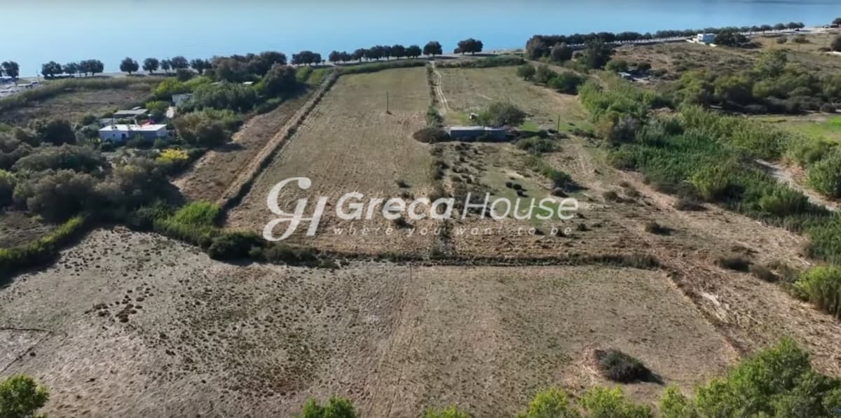 Investment Opportunity in Karystos - Beachfront Land for Sale for Hotel Development - Photo 11