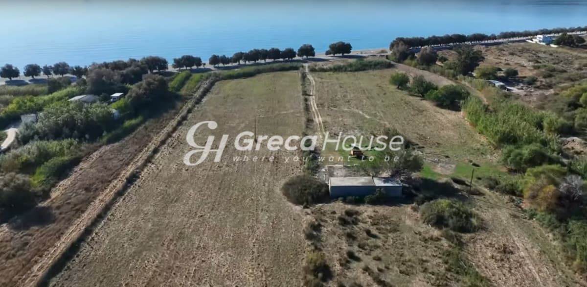 Investment Opportunity in Karystos - Beachfront Land for Sale for Hotel Development - Photo 16