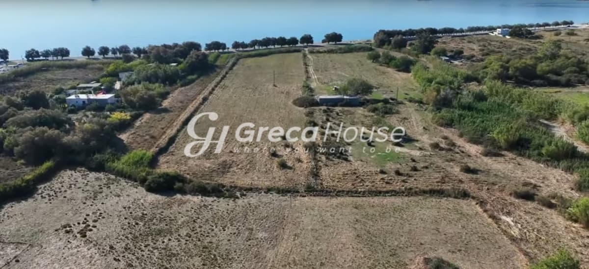 Investment Opportunity in Karystos - Beachfront Land for Sale for Hotel Development - Photo 22