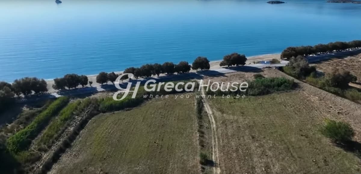 Investment Opportunity in Karystos - Beachfront Land for Sale for Hotel Development - Photo 23