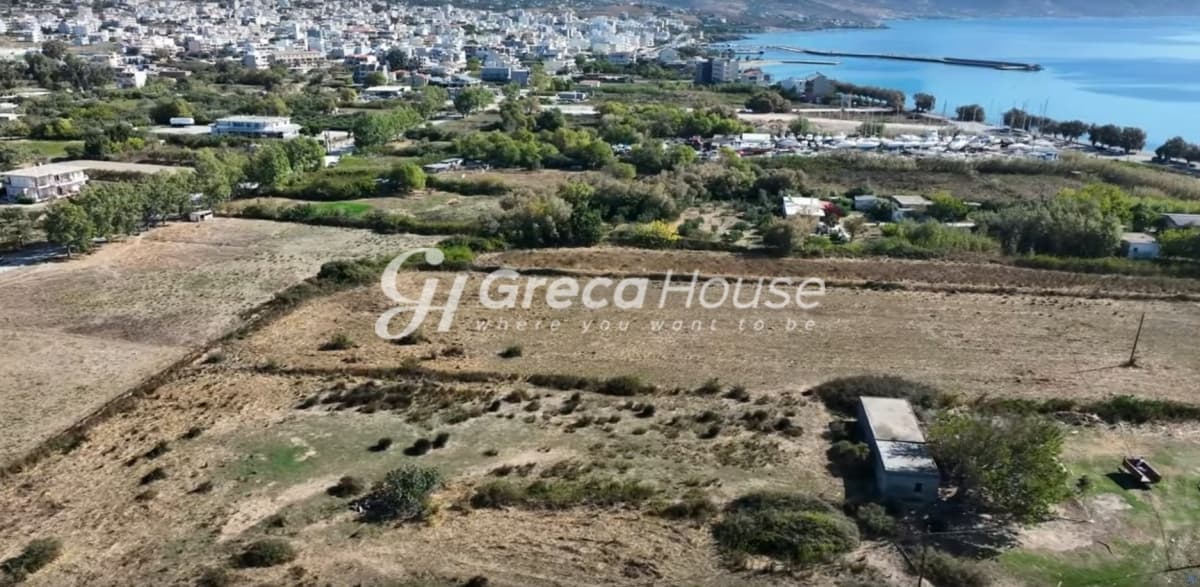Investment Opportunity in Karystos - Beachfront Land for Sale for Hotel Development - Photo 5