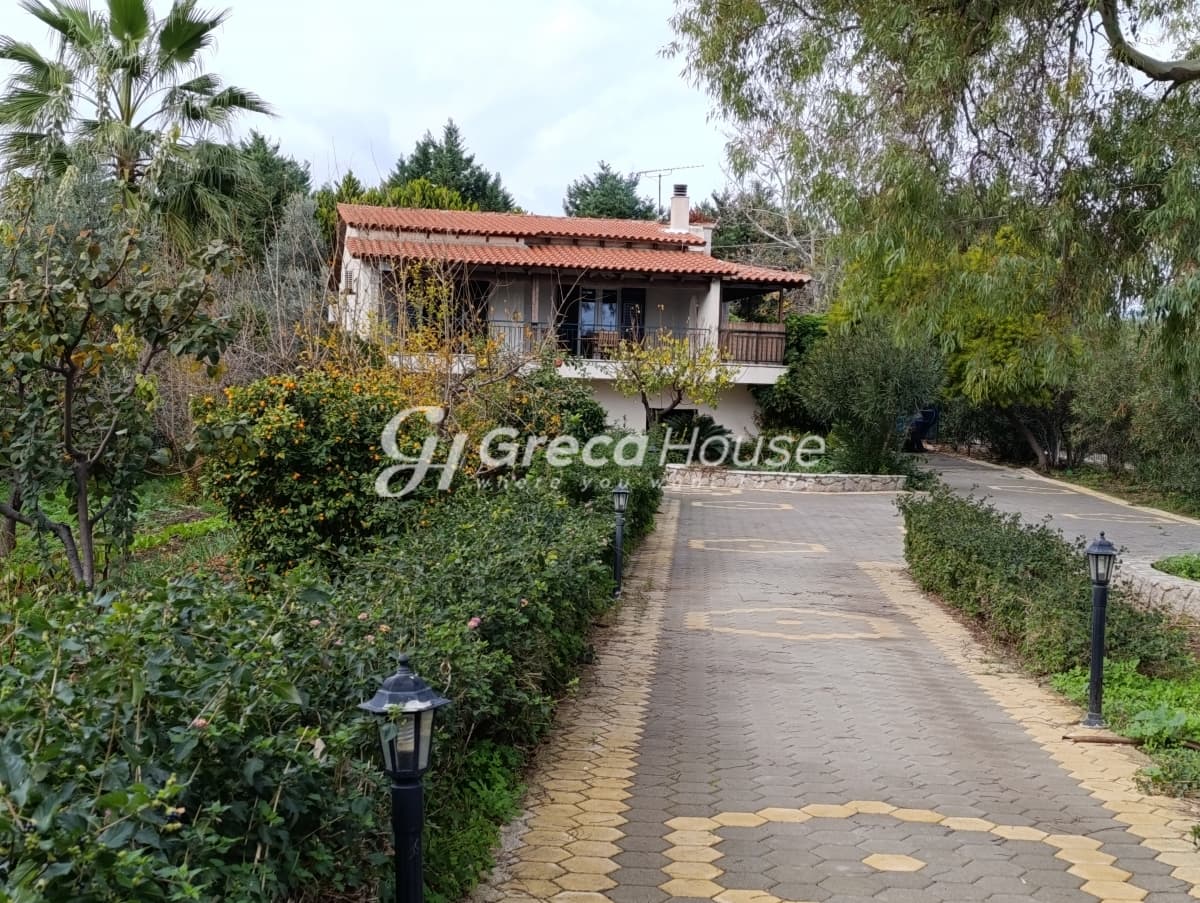 בית אבן מרוהט צמוד קרקע למכירה בנא אפּידברוס, ארגולידה – ליד הים - תמונה 39