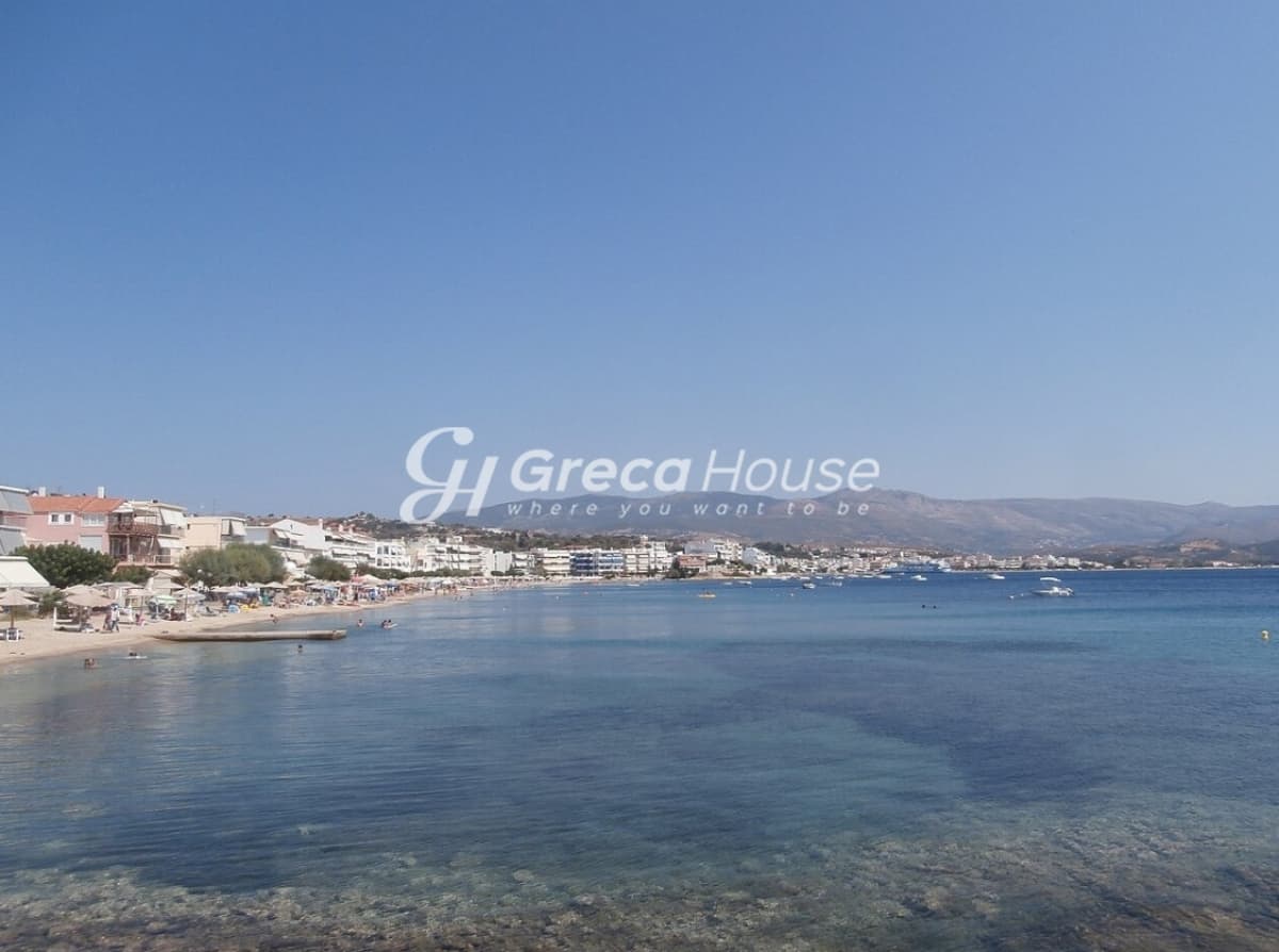 For Sale: 4,000 sqm Plot with Unlimited Sea View in Nea Styra, Evia - Photo 4