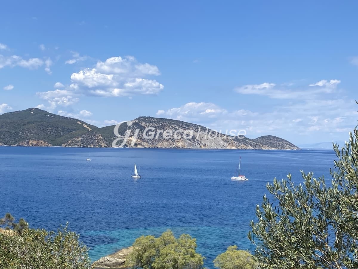 加拉塔斯，特罗伊齐纳海滨庄园，带私人海滩和橄榄园 - 张照片 24