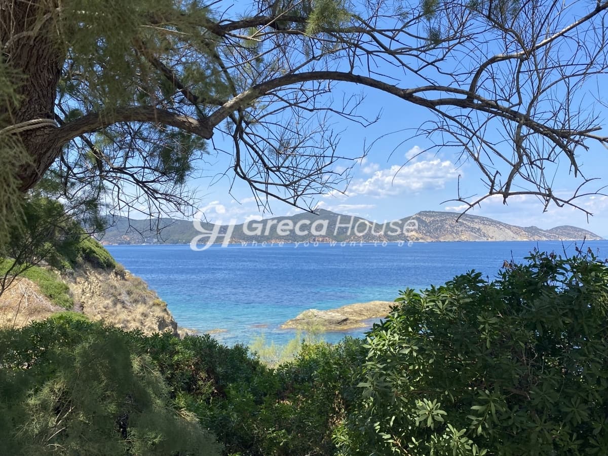 加拉塔斯，特罗伊齐纳海滨庄园，带私人海滩和橄榄园 - 张照片 3