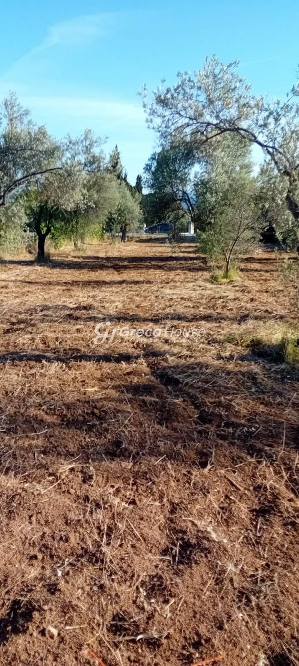 מגרש 4,000 מ"ר באמרינתוס, אוויה, 150 מטר מהים - תמונה 8