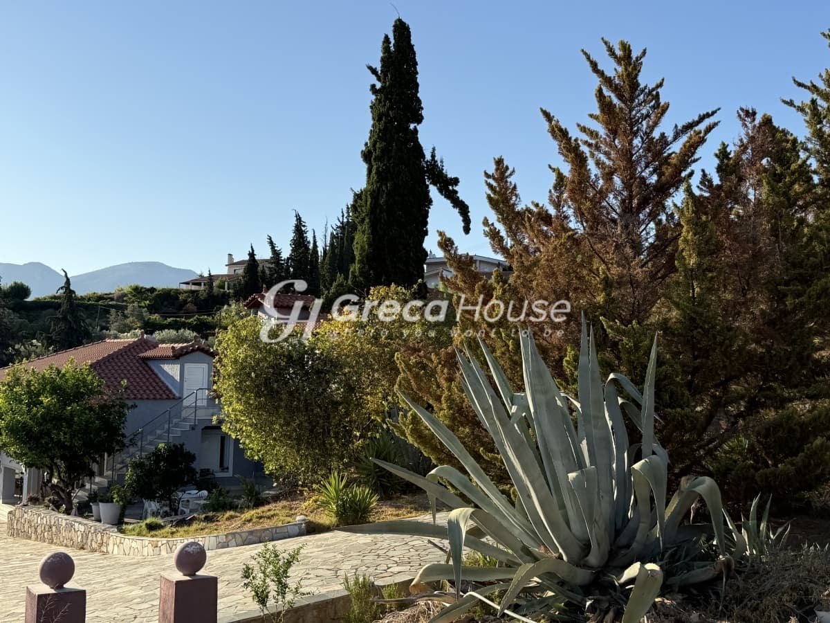 Luxury 571 sq.m. Villa with Private Beach and Guesthouses for Sale in Amarynthos, Evia - Photo 21