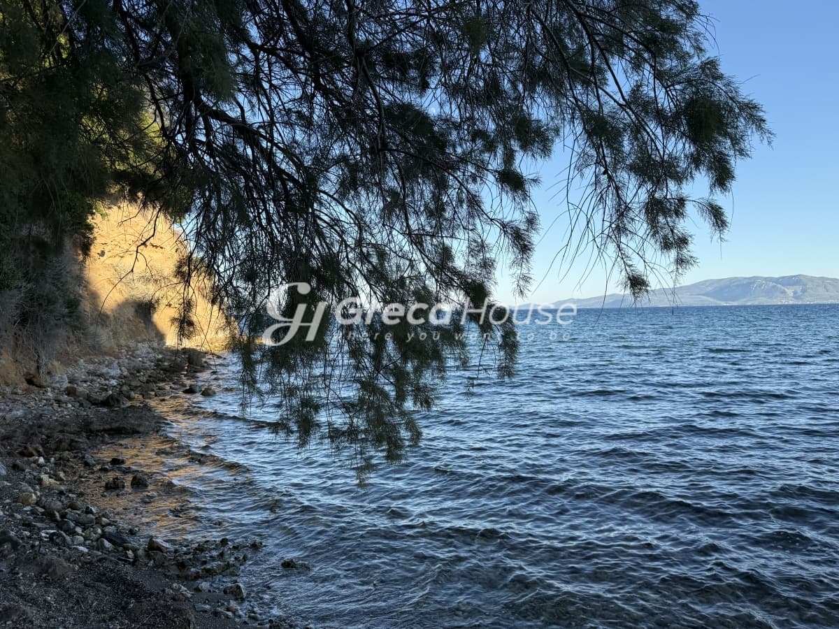 Luxury 571 sq.m. Villa with Private Beach and Guesthouses for Sale in Amarynthos, Evia - Photo 5