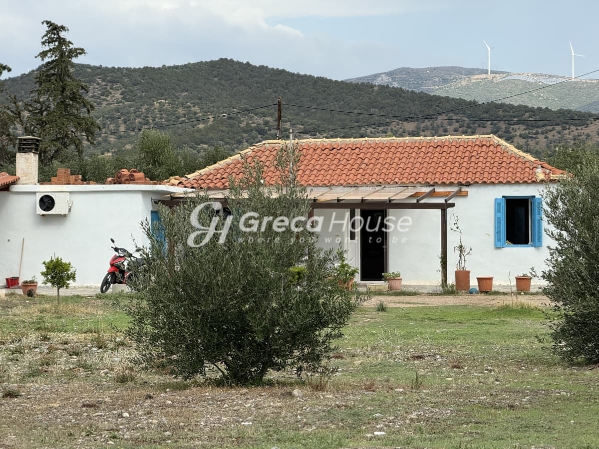 Πωλείται Οικόπεδο 8.000 τ.μ. με Κτίσμα και 200 Ελαιόδεντρα στην Ερμιόνη – 500μ. από τη Θάλασσα - Φωτογραφία 30