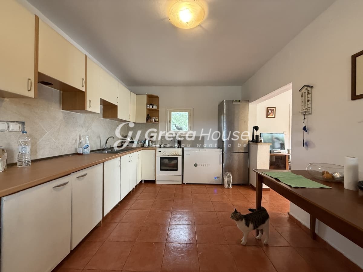 Πωλείται Οικόπεδο 8.000 τ.μ. με Κτίσμα και 200 Ελαιόδεντρα στην Ερμιόνη – 500μ. από τη Θάλασσα - Φωτογραφία 13