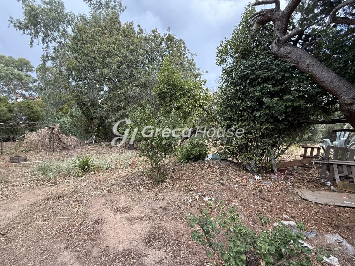 מגרש מבוקש למכירה במליסיה, אמאליה פלמינג - תמונה 10