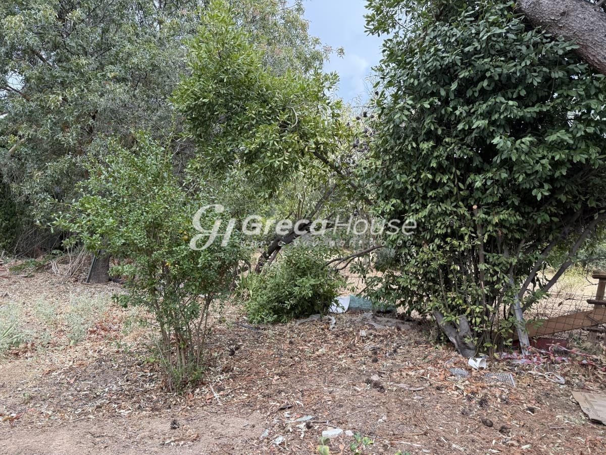 מגרש מבוקש למכירה במליסיה, אמאליה פלמינג - תמונה 11