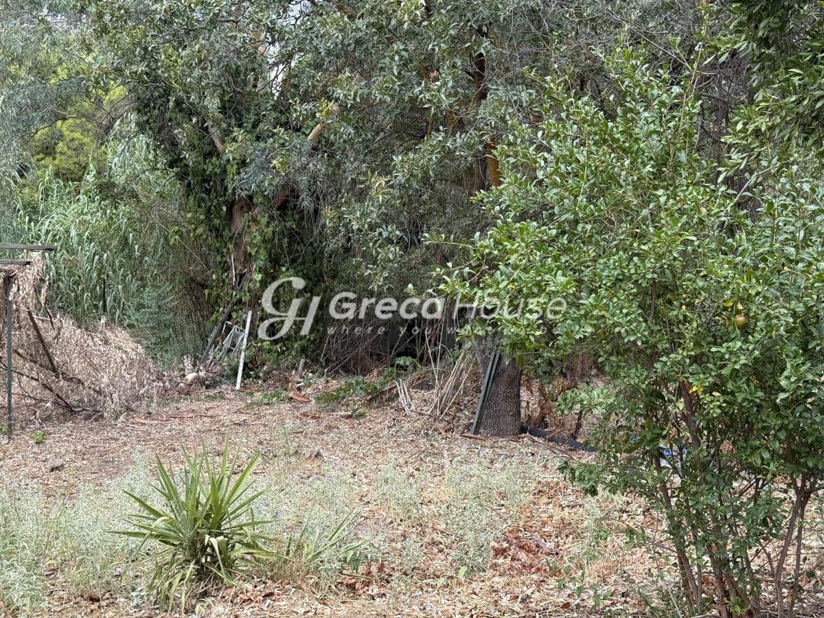 מגרש מבוקש למכירה במליסיה, אמאליה פלמינג - תמונה 5