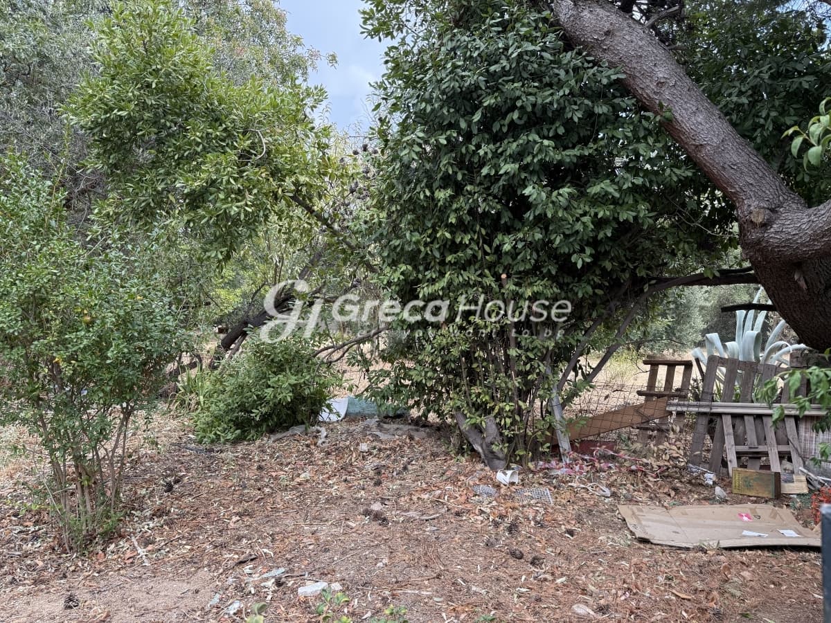 מגרש מבוקש למכירה במליסיה, אמאליה פלמינג - תמונה 12