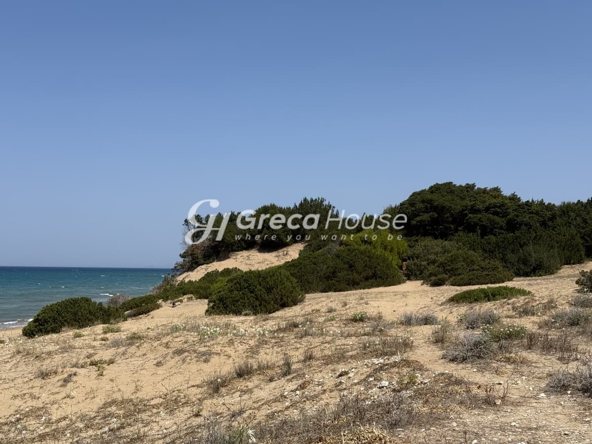 Παραθαλάσσιο Οικόπεδο 21.000 τ.μ. προς Πώληση στην Κυλλήνη, Ηλεία – Κορυφαία Επένδυση - Φωτογραφία 21