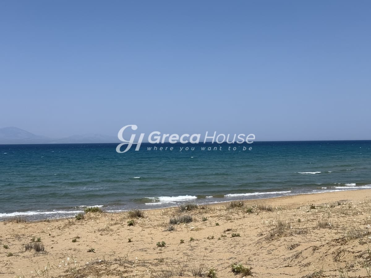 Παραθαλάσσιο Οικόπεδο 21.000 τ.μ. προς Πώληση στην Κυλλήνη, Ηλεία – Κορυφαία Επένδυση - Φωτογραφία 6