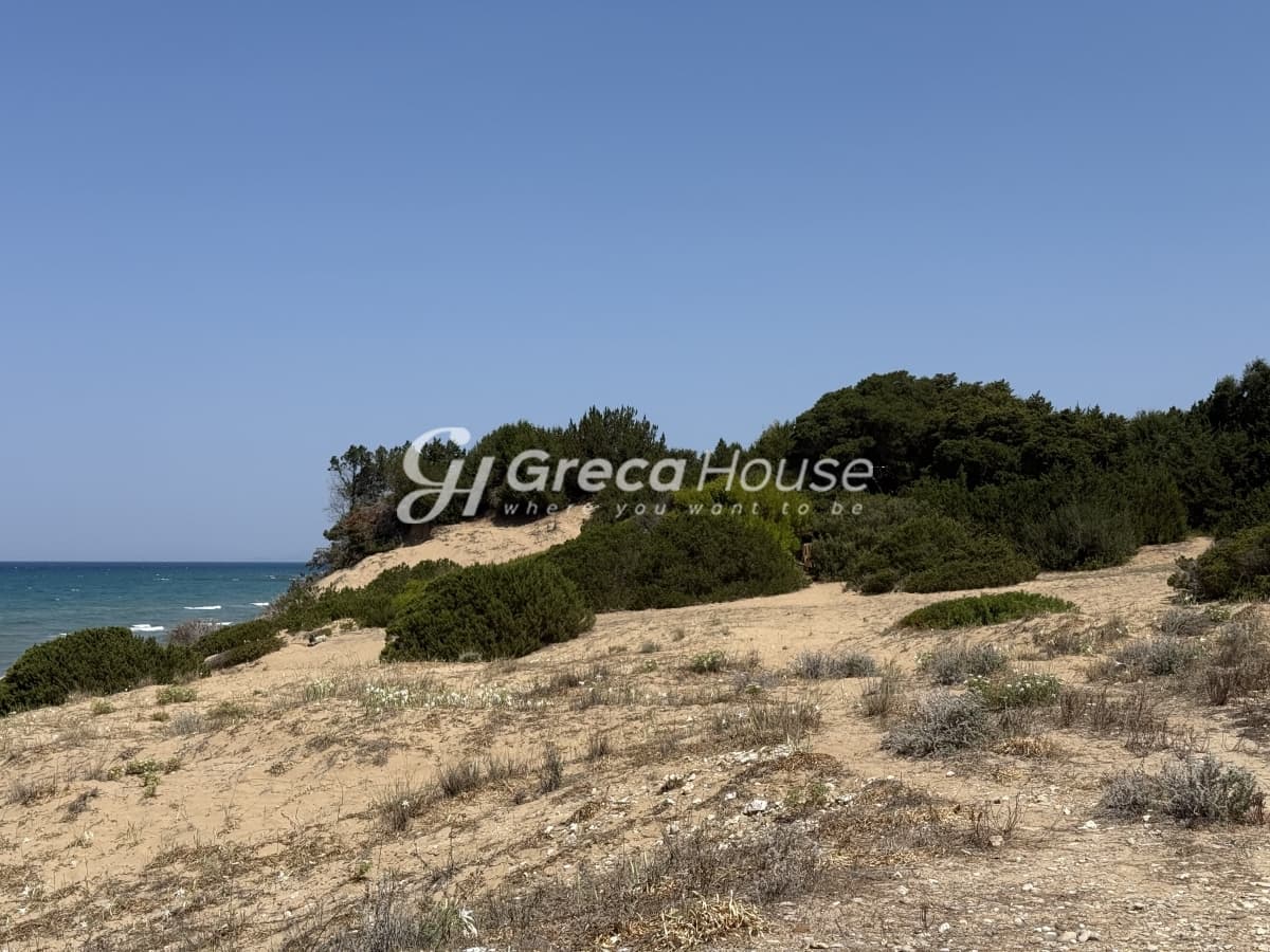 Παραθαλάσσιο Οικόπεδο 21.000 τ.μ. προς Πώληση στην Κυλλήνη, Ηλεία – Κορυφαία Επένδυση - Φωτογραφία 5
