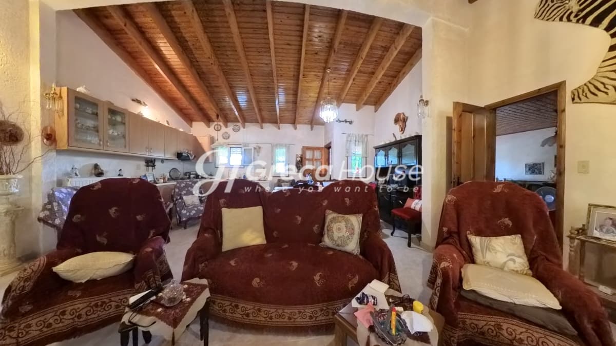 Μονοκατοικία 135 τ.μ. με οικόπεδο 10.000 τ.μ. στις Ροβιάτες Αμαλιάδας - Φωτογραφία 38