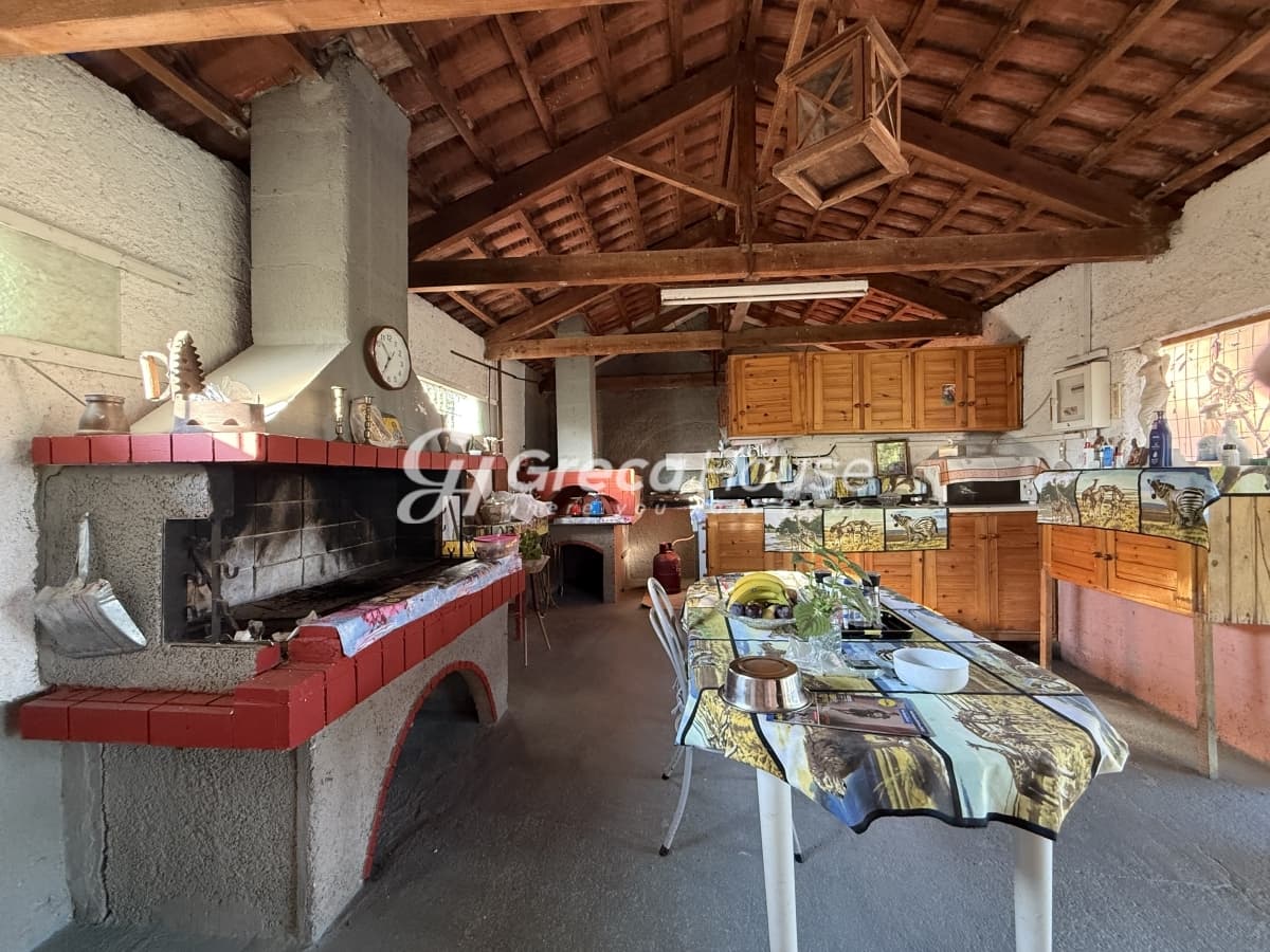 Μονοκατοικία 135 τ.μ. με οικόπεδο 10.000 τ.μ. στις Ροβιάτες Αμαλιάδας - Φωτογραφία 14