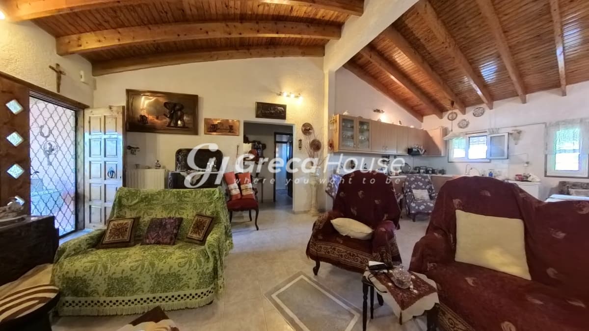 Μονοκατοικία 135 τ.μ. με οικόπεδο 10.000 τ.μ. στις Ροβιάτες Αμαλιάδας - Φωτογραφία 4
