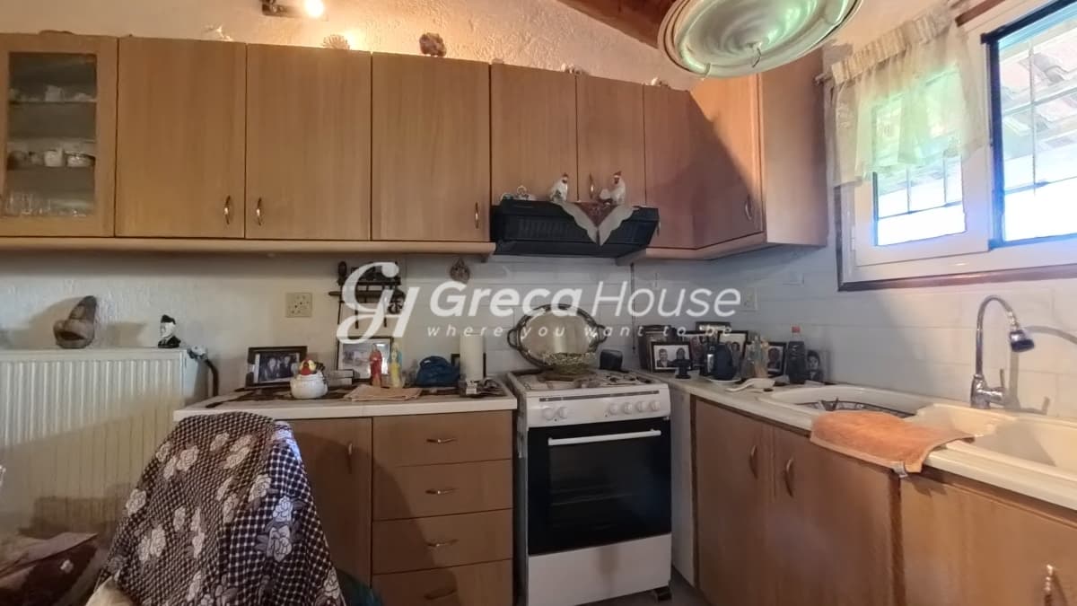 Μονοκατοικία 135 τ.μ. με οικόπεδο 10.000 τ.μ. στις Ροβιάτες Αμαλιάδας - Φωτογραφία 17