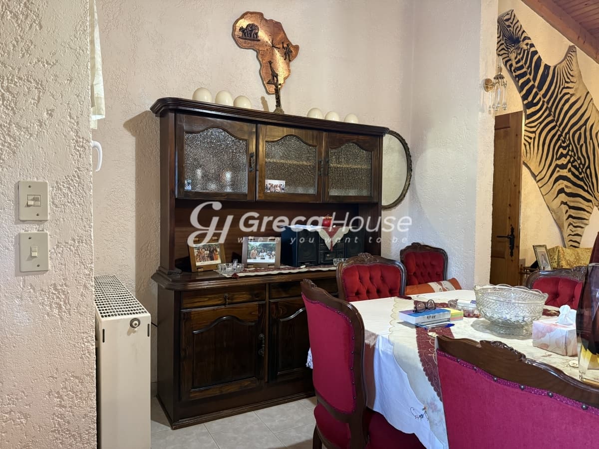 Μονοκατοικία 135 τ.μ. με οικόπεδο 10.000 τ.μ. στις Ροβιάτες Αμαλιάδας - Φωτογραφία 6