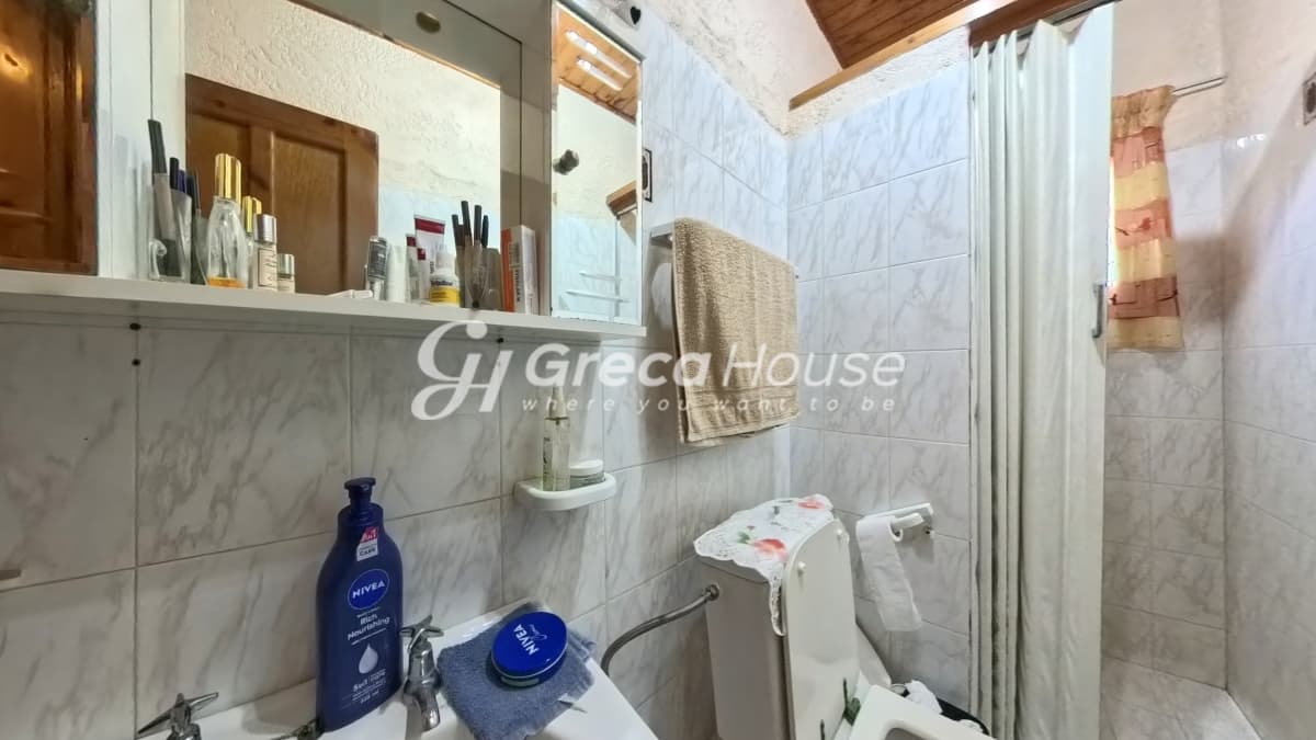 Μονοκατοικία 135 τ.μ. με οικόπεδο 10.000 τ.μ. στις Ροβιάτες Αμαλιάδας - Φωτογραφία 19
