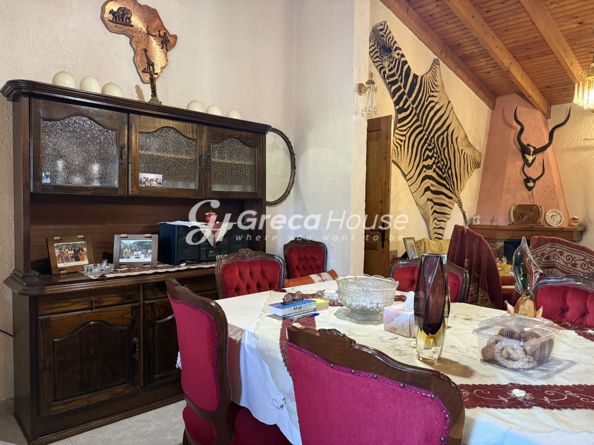 Μονοκατοικία 135 τ.μ. με οικόπεδο 10.000 τ.μ. στις Ροβιάτες Αμαλιάδας - Φωτογραφία 26