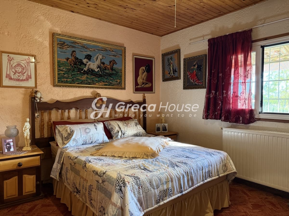 Μονοκατοικία 135 τ.μ. με οικόπεδο 10.000 τ.μ. στις Ροβιάτες Αμαλιάδας - Φωτογραφία 18
