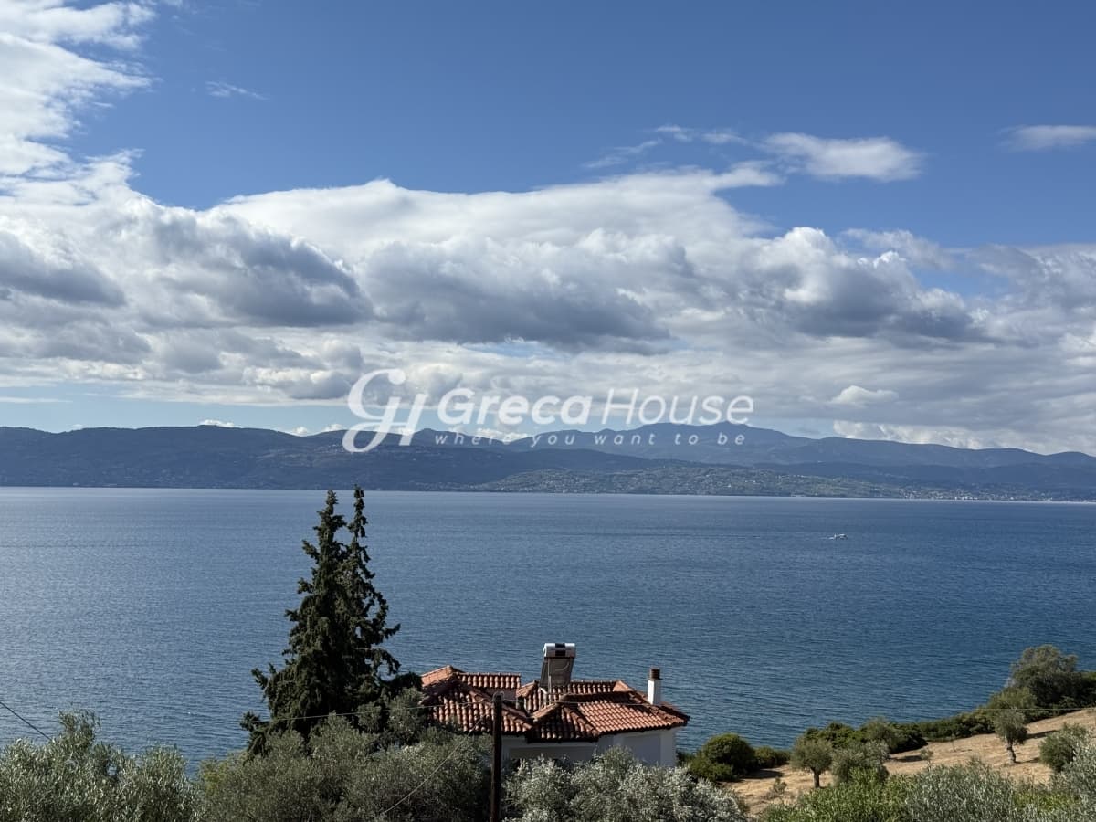 Αμάρυνθος – Εύβοια | Πολυτελής βίλα με πανοραμική θέα θάλασσα, 150 μ. από την παραλία - Φωτογραφία 1
