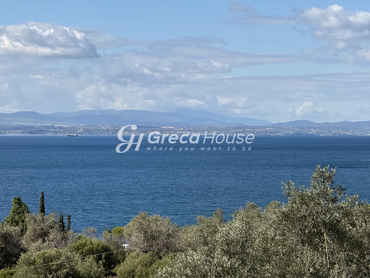 Αμάρυνθος – Εύβοια | Πολυτελής βίλα με πανοραμική θέα θάλασσα, 150 μ. από την παραλία - Φωτογραφία 84