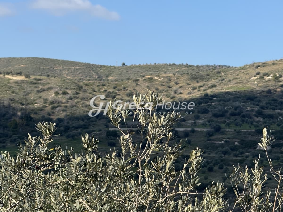וילה מרוהטת דו-קומתית 115 מ"ר למכירה בגלאטאקי, סרוניקוס, קורינתיה – נוף לים באחוזה של 9,000 מ"ר - תמונה 17
