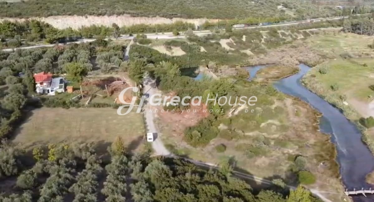 Beachfront Plot for Sale, 2,200 sq.m. in Achladi – 43m Frontage, Building Permit - Photo 9